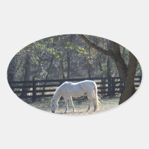White Horse in bomen Ovale Sticker