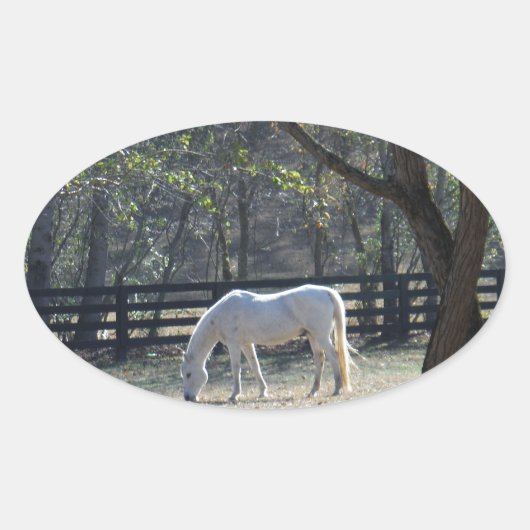 White Horse in bomen Ovale Sticker (Voorkant)