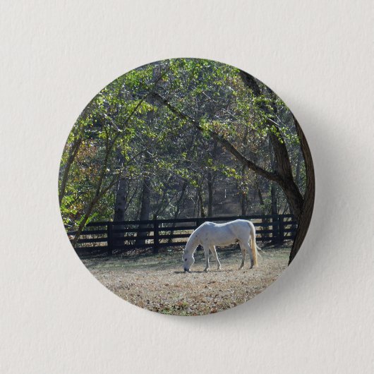 White Horse in bomen Ronde Button 5,7 Cm (Voorkant)