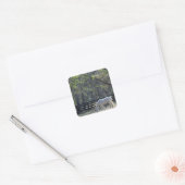 White Horse in bomen Vierkante Sticker (Envelop)