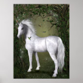 White Horse in Bossen met Hummingbird Print (Voorkant)