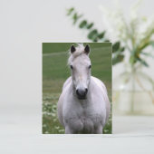 White Horse in Field Briefkaart (Staand voorkant)