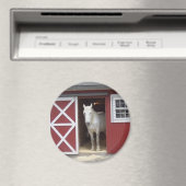 White Horse in Red Barn Magneet (Insitu (Vaatwasser))