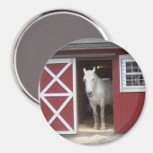 White Horse in Red Barn Magneet (Voorkant / Achterkant)