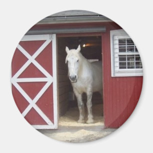 White Horse in Red Barn Magneet