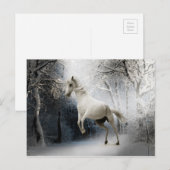 White Horse in Snowy Winter Landscape Briefkaart (Voorkant / Achterkant)