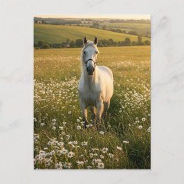 White Horse in Wildflower Meadow Postcard Feestdagenkaart
