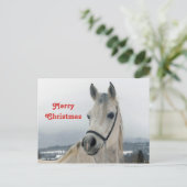  White Horse-kerstfoto Briefkaart (Staand voorkant)