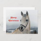  White Horse-kerstfoto Briefkaart (Voorkant / Achterkant)