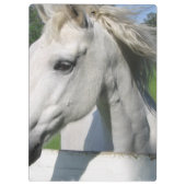 White Horse Klembord (Achterkant)