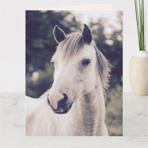 WHITE HORSE KRIJGEN SNEL GOED WENSKAARTEN KAART