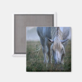 White Horse Magneet (Voorkant / Achterkant)