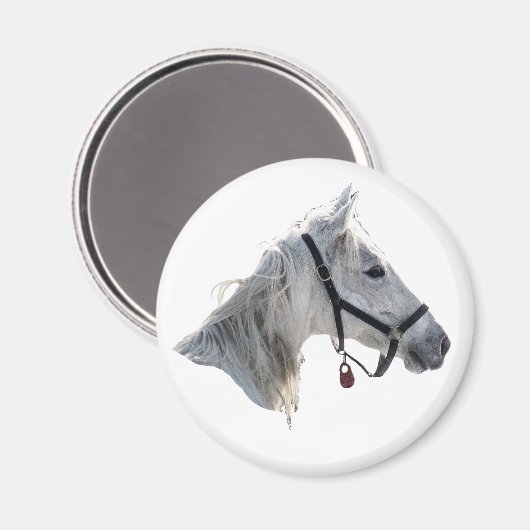 White Horse Magneet (Voorkant / Achterkant)