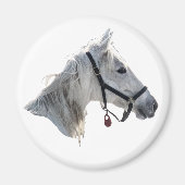White Horse Magneet (Voorkant)