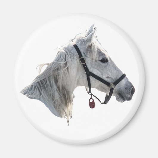 White Horse Magneet (Voorkant)
