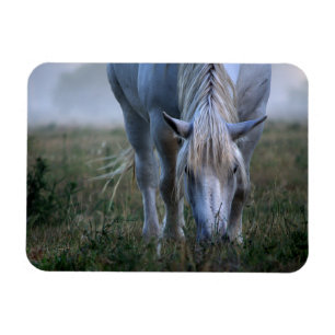 White Horse Magneet