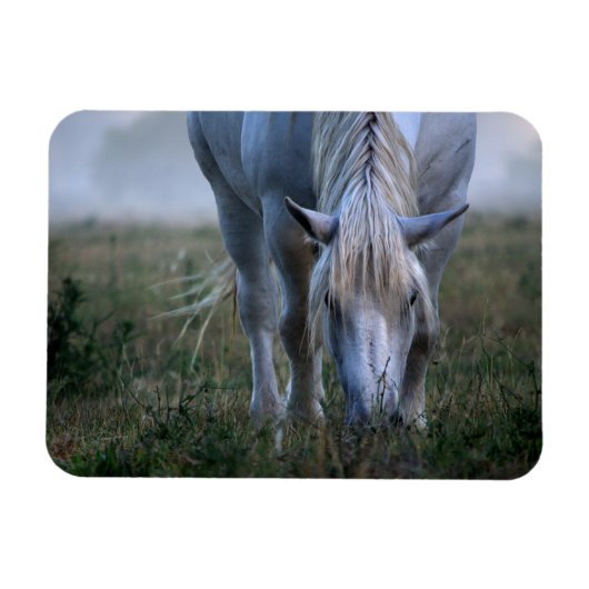 White Horse Magneet (Horizontaal)
