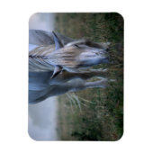 White Horse Magneet (Verticaal)