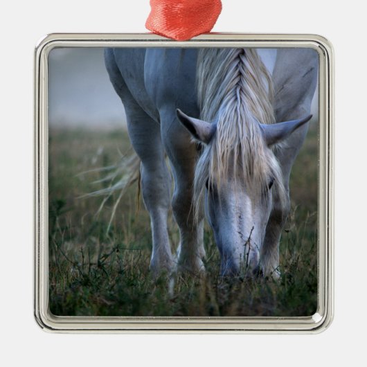 White Horse Metalen Ornament (Voorkant)