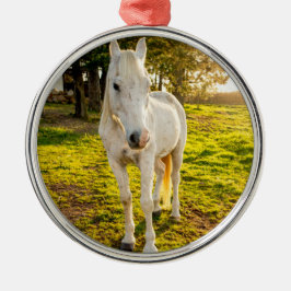 White Horse Metalen Ornament