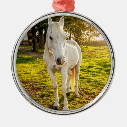 White Horse Metalen Ornament (Voorkant)