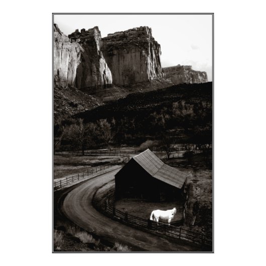 White Horse Monochrome Canyonlands - Geopend print Foto Afdruk (Voorkant)