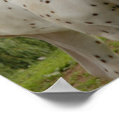 White Horse of Love Poster (Hoek)