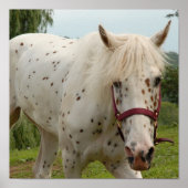 White Horse of Love Poster (Voorkant)