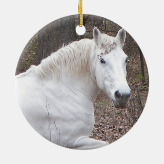 White Horse Ornament (Achterkant)