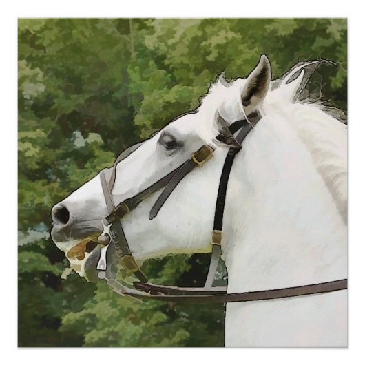 WHITE HORSE PERFECT POSTER (Voorkant)