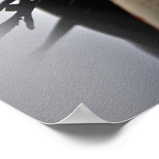 White Horse Poster (Hoek)