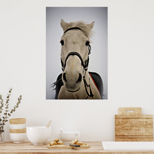 White Horse Poster (Keuken)