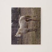 White Horse Puzzle Legpuzzel (Verticaal)
