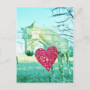 White Horse Red Heart Valentijn Feestdagenkaart