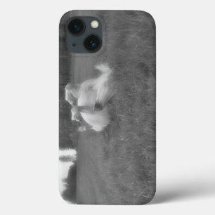 White Horse Rolling in Grass B&W Foto bij BC Ranch Case-Mate iPhone Case