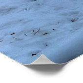 White Horse Rolling in Winter Sneeuwfoto Poster (Hoek)