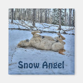 White Horse Rolling in Winter Snow Magneet (Voorkant)