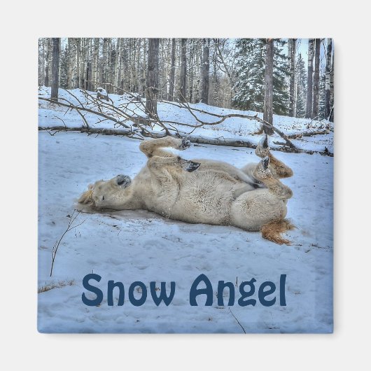 White Horse Rolling in Winter Snow Magneet (Voorkant)