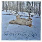 White Horse Rolling in Winter Snow Tegeltje (Voorkant)