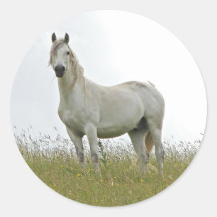 White Horse Ronde Sticker