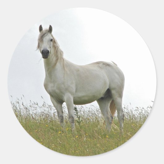 White Horse Ronde Sticker (Voorkant)