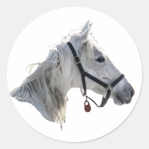 White Horse Ronde Sticker