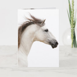 White Horse Runs Horse Wenskaart Kaart