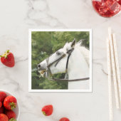 WHITE HORSE SERVET (Insitu)