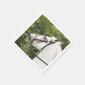 WHITE HORSE SERVET (Hoek)