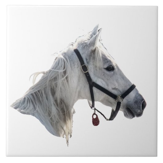 White Horse Tegeltje (Voorkant)