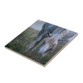 White Horse Tegeltje (Zijkant)