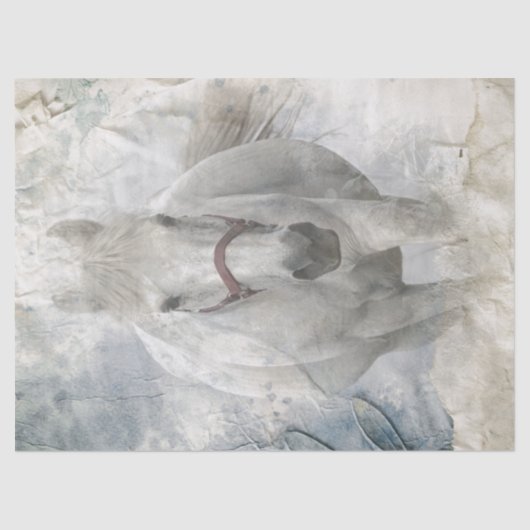 White Horse Tissuepapier (Voorkant)