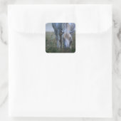 White Horse Vierkante Sticker (Tas)