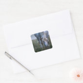 White Horse Vierkante Sticker (Envelop)